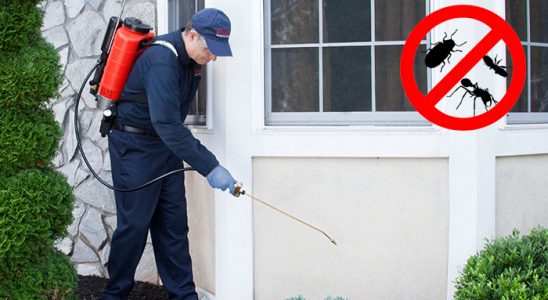 Saraykent Kene İlaçlama böcek ilaçlama ve haşere kontrolü — ilaclama-tr.com
